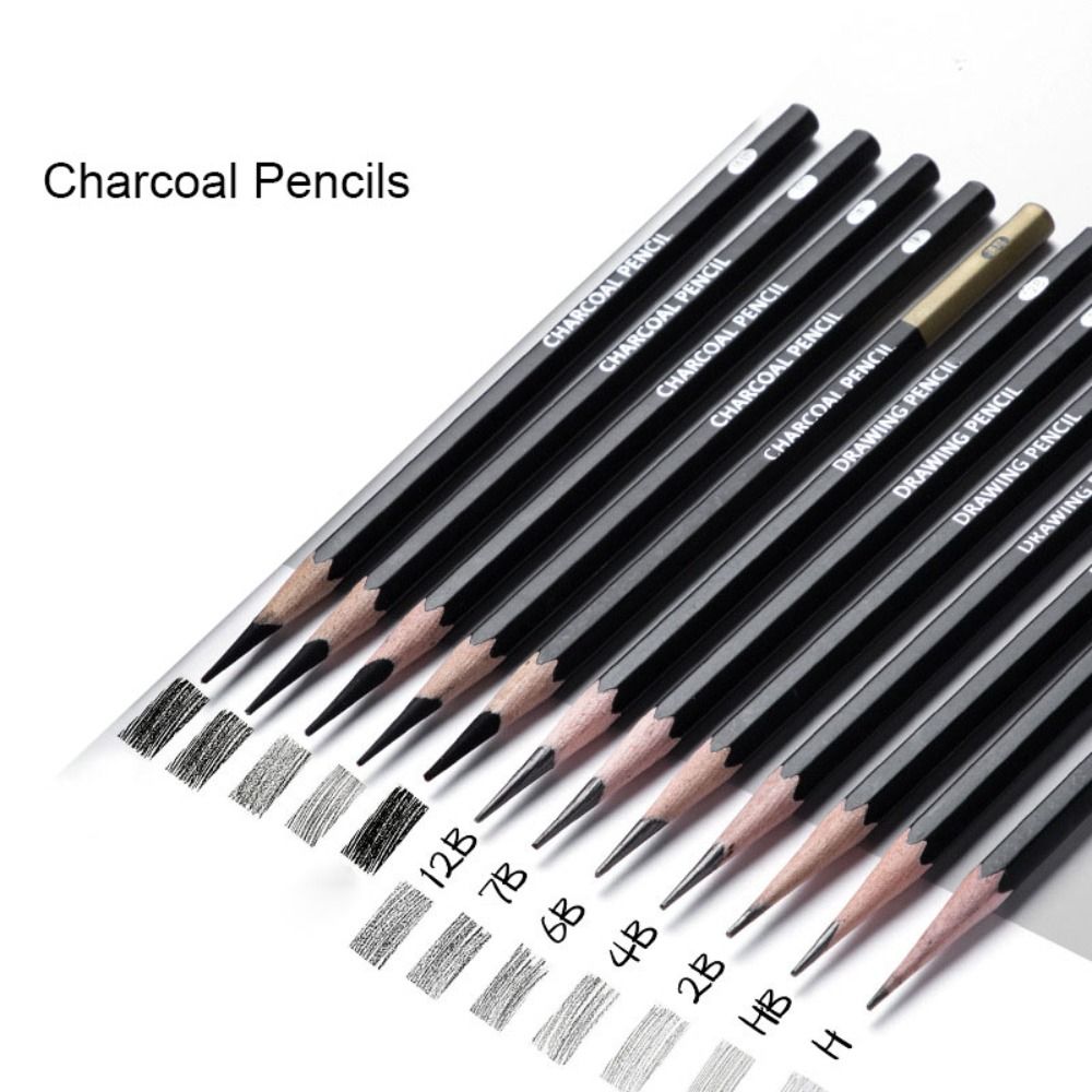 プロ仕様グラファイト混合スケッチ鉛筆画材チャコール鉛筆耐久性 - Sketching Charcoal Set のレビューと価格