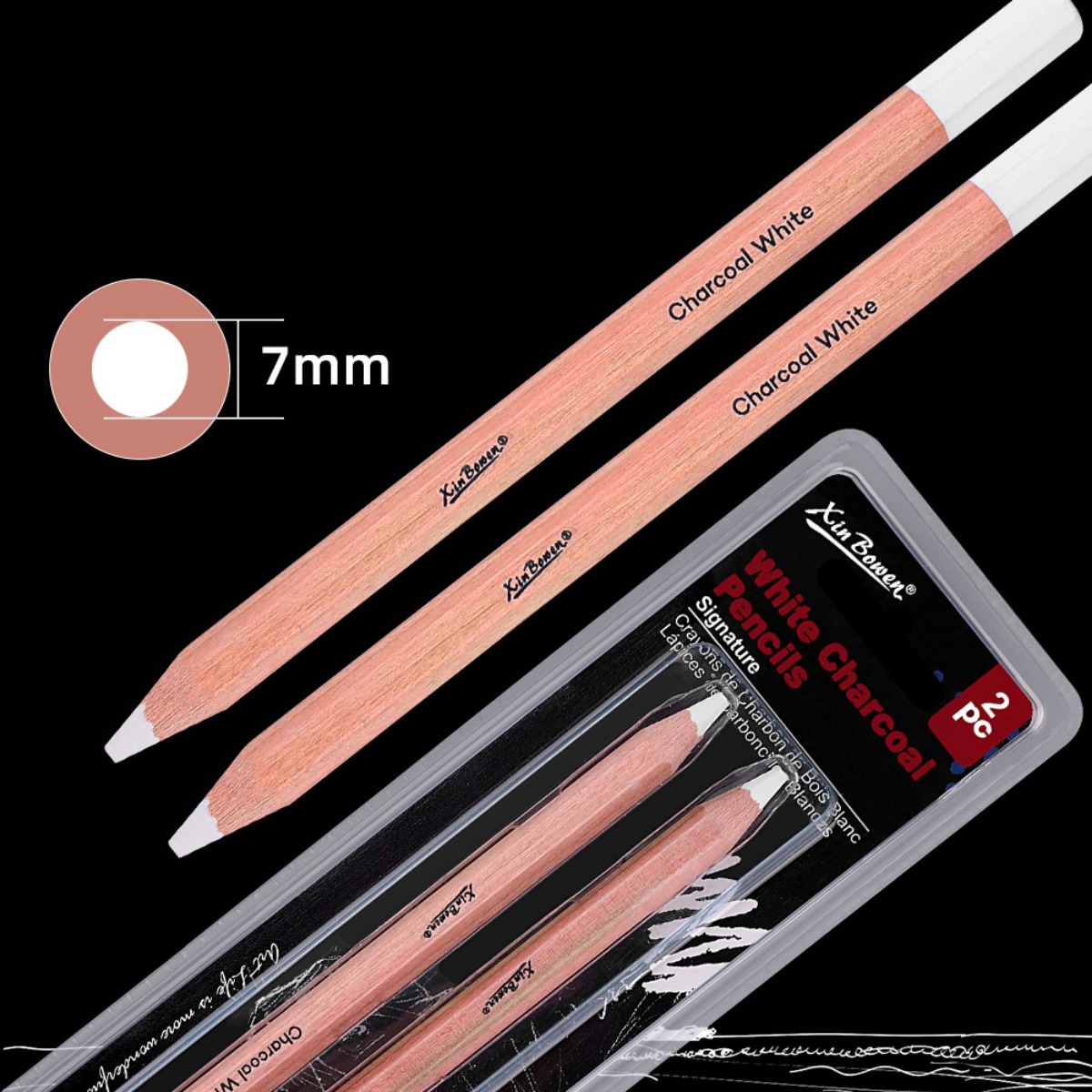2 ピース/セット厚いスケッチ白炭鉛筆アートハイライト鉛筆初 - Sketching Charcoal Set のレビューと価格