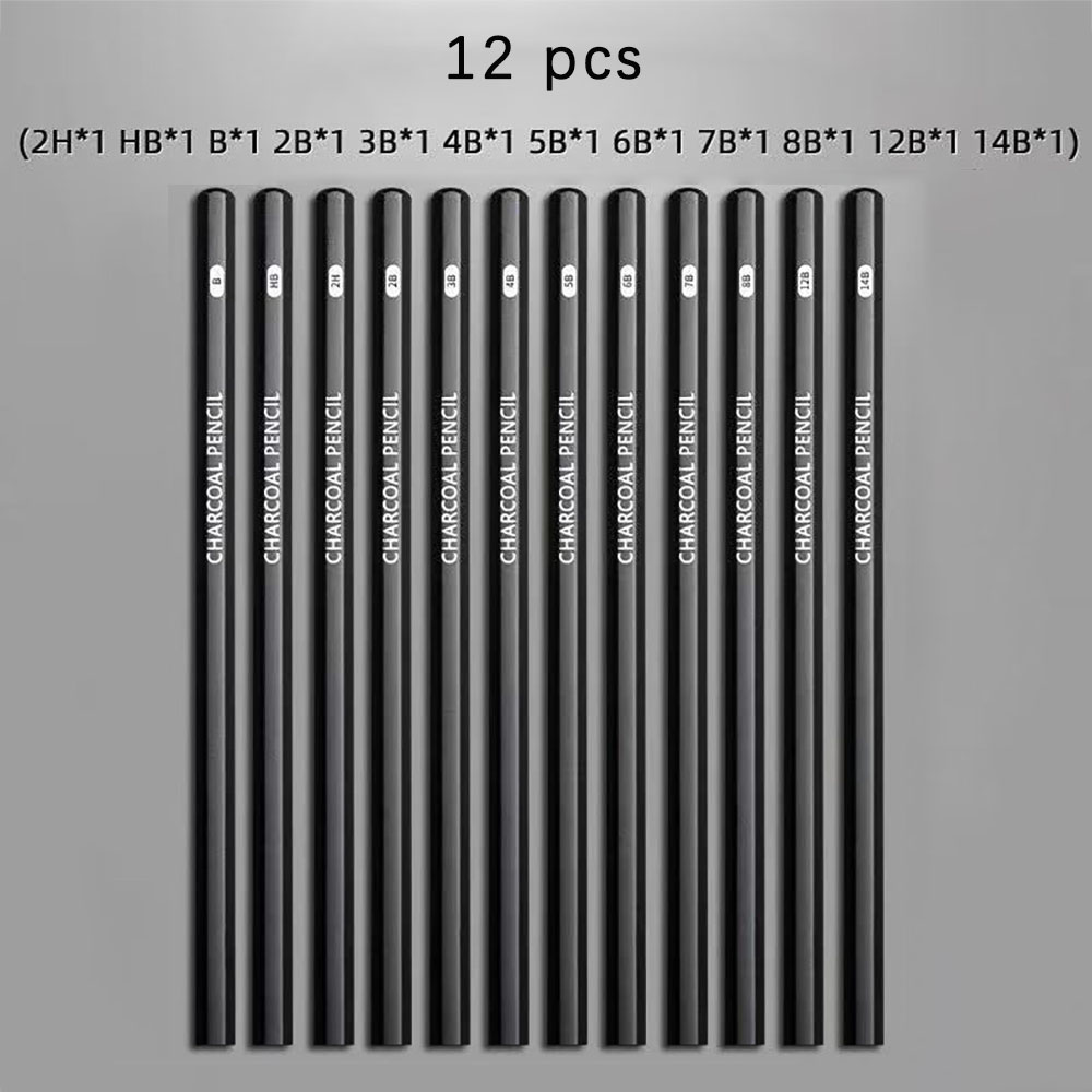 学生向けスケッチ鉛筆12本セット、初心者向け木炭鉛筆セット、 - Sketching Charcoal Set のレビューと価格