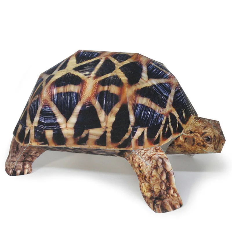 インドのスターカメ紙モデル、リアルな動物、ミニ折り紙アート、 - Art Craft Center のレビューと価格